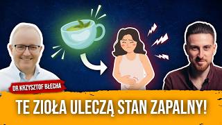 quotZioła mogą działać lepiej niż leki chemiczne  Twój lekarz musi to zobaczyćquot  dr Krzysztof Błecha [upl. by Yzzik714]