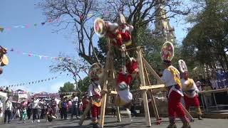 Danzas totonacas de origen prehispánico en Papantla [upl. by Arman]