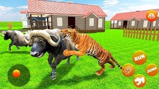 Wild Tiger City Rampage  Lion Attack Gameplay  tiger Game Video  Hannu Games [upl. by Neda670]