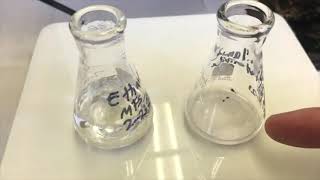 Crystallization of Sulfanilamide [upl. by Michi]