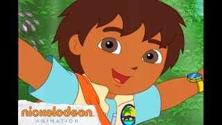 Go Diego Go Theme Song  Nick Jr  Nick Animation [upl. by Polash]