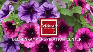 Beekenkamp Plants  quotCelebrate the seasons 2021quot week 24 [upl. by Lamag]