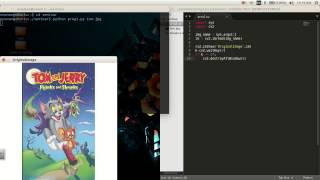 OpenCV programming with Python Linux  Installation and Working [upl. by Camey782]