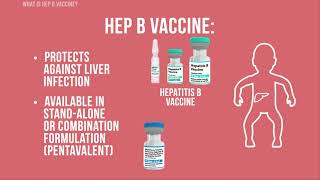 Hepatitis B Vaccine [upl. by Niveek]