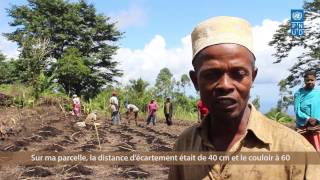 Adaptation aux changements climatiques aux Comores [upl. by Ahter]