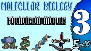 Molecular biology foundation module  lecture 3 [upl. by Lelith869]