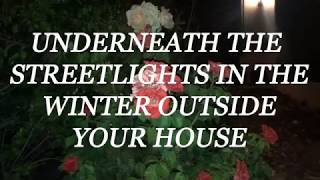 Wallows  Underneath the Streetlights in the Winter Outside Your House Lyric Video [upl. by Anolla]