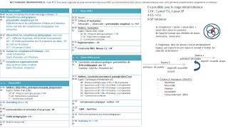 MF2 Pédagogie Organisationnelle n9  stage tuteur initiateur TSI [upl. by Justis]