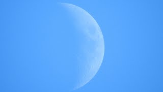 Daytime Waxing Crescent Moon 334 of 16 January 2024 recorded with Nikon P900 [upl. by Laeahcim384]