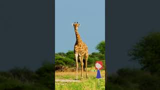 Nina amp Max Teach Kids About Giraffes 🦒 Fun Giraffe Facts for Kids [upl. by Ycul]