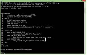 Oracle  PLSQL  Exception Handling [upl. by Hairahcaz706]