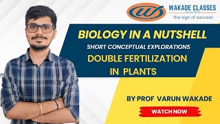 Double Fertilization in plants [upl. by Atteirneh]