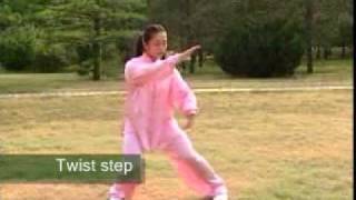 Tai Chi 10 Form with English Titles [upl. by Fiore709]