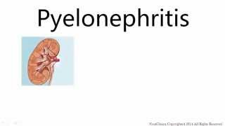 Pyelonephritis [upl. by Bonnell]