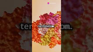 Molecular biology Translation Shorts Short biology [upl. by Rafiq]