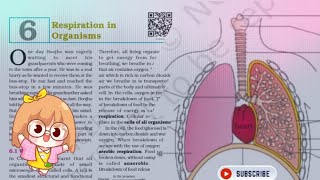 3RESPIRATION IN ORGANISMS CLASS 7 NCERT EXPLANATION SCIENCE [upl. by Gigi]