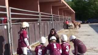 Lamotte Beuvron 2015  HorseBall Poussins 4  Les écuries du Vallon [upl. by Alisun]