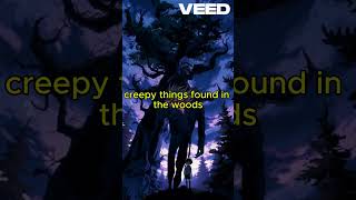 The Creepiest Discoveries In The Woods creepy woods [upl. by Broderick]