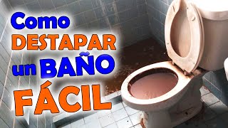 El papel higiénico ¿al bote o al inodoro ¡¡¡MITO RESUELTO [upl. by Onibag882]