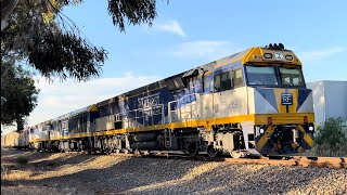 6AM9 with CF4429 EL51 CF4431 at Salisbury North 15112024 [upl. by Chloris922]