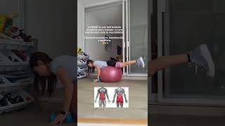 CORE POSTPARTO 🌷diastaseabdominal diastasis core posparto suelopelvico fitball fitmom abs [upl. by Colfin]