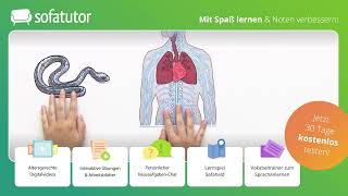 Zentrales und peripheres Nervensystem – Definition amp Funktion [upl. by Terb]