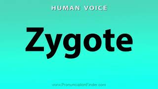 How To Pronounce Zygote [upl. by Tehcac90]