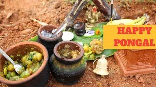 MINIATURE PONGAL பொங்கல்  MINIATURE COOKING MINI FOODS 8 [upl. by Eulau641]