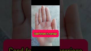 The trident palmistry sign on the Mount of Venus PalmistryReading shortvideo astrology [upl. by Meikah]