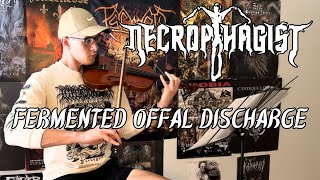 Necrophagist  Fermented Offal Discharge solo  violin cover [upl. by Natka]