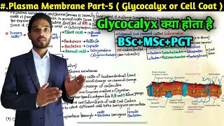 What is Cell Coat or Glycocalyx  Plasma Membrane Part5  BSc first Year  MSc  PGT  NEET [upl. by Hassadah]