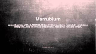 Medical vocabulary What does Marrubium mean [upl. by Lsiel658]