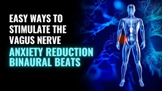 Vagal Tone  Stimulate the Vagus Nerve  Parasympathetic Nervous System music  432hz Heart Repair [upl. by Enoved]