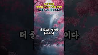 그는 당신을 어리석은 자라고 부를 것이다  지혜를 얻는 명언 5가지 [upl. by Haiel581]