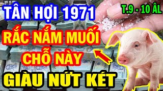 Thầy Phong Thuỷ Chỉ Rõ Tân Hợi 1971 đặt nắm muối chỗ này Tiền Nhét Nứt Két tháng 9 10 âm lịch [upl. by Ainoval]