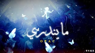 OPAC  Official Audio  اوباك  مايندري Prd88Young [upl. by Nemzzaj]