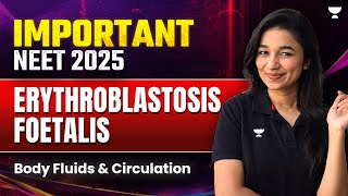 Erythroblastosis Foetalis  Body Fluids and Circulation Class 11  Important Topics NEET  NEET 2025 [upl. by Mella]