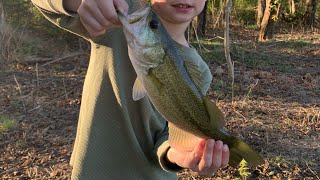 Bass Fishing North Alabama creek Tennessee River tributary Catching some 2 pounders on Wacky Rigs [upl. by Gusella]