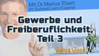 Gewerbe und Freiberuflichkeit ● Teil 3 Zusammenhang von Gewerbe und Kaufmannseigenschaft [upl. by Elysha]