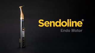 DE Sendoline Endo Motor  Erste Schritte [upl. by Ahsekat]