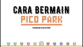 Pico Park Indonesia  Tutorial Bermain Pico Park [upl. by Noram]