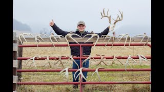 MASSIVE ANTLERS  BEST OF 20202023 Shed Hunting [upl. by Sucam]