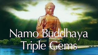 Namo Buddhaya  Namo Dharmaya  Namo Shanghaya  Triple Gems  Spiritual Awakening  positive vibes [upl. by Ventre]