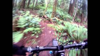 Floppys mtb tours Illahee [upl. by Dena]