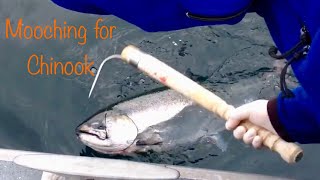 Mooching for Salmon in Alaska  Epic Alaska Salmon Fishing Bite [upl. by Anoyi]