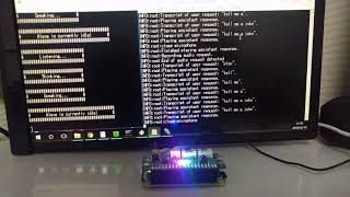 Raspberry Pi Zero W with ReSpeaker 2Mics Hat running Google Assistant amp Alexa simultaneouslyVer2 [upl. by Calvano]