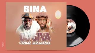 Djsiya ft Drimz Mr Muziq  Bina Official Audio [upl. by Chancey]