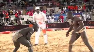 Palette  Tidjane Faye Vs Paul Maurice  Loeil du tigre  19 avril 2016 [upl. by Obie855]