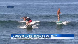 Vendors to be selected by state lottery to offer suffer lessons at Big Islands Kahaluu Bay [upl. by Iharas]