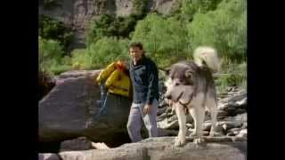 White Fang S1 E09 Clint Eastwood Youre Not [upl. by Karlens929]